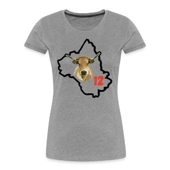 Aveyron in France - Women's Premium Organic T-Shirt - heather grey - Front - Mia (176cm)