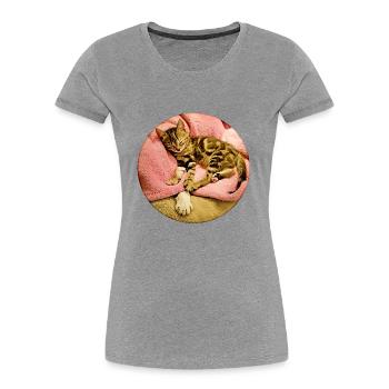 Junges Kätzchen schlief bei seinem älteren Katzenfreund ein - Frauen Premium Bio T-Shirt - Grau meliert - Vorne - Mia (176cm)