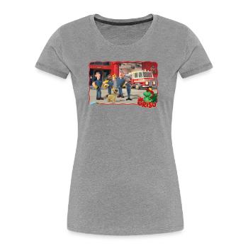 Grisu Der Kleine Drache, Feuerwehr Und Hund Stuffy - Frauen Premium Bio T-Shirt - Grau meliert - Vorne - Mia (176cm)