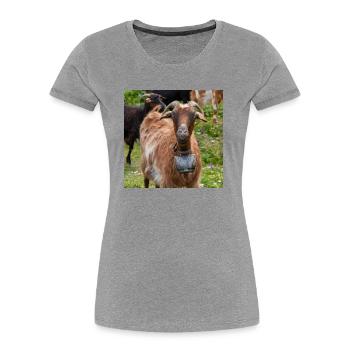 Chèvre de montagne dans le parc national Parc de l’île de Kos - T-shirt bio Premium Femme - gris chiné - Devant - Mia (176cm)
