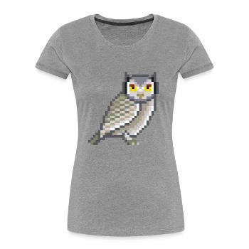 Pixel- Owl - Frauen Premium Bio T-Shirt - Grau meliert - Vorne - Mia (176cm)