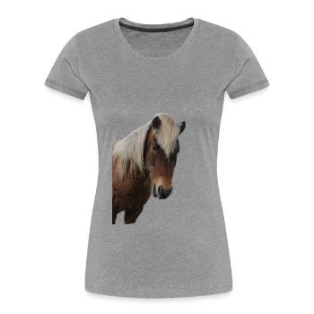 Pferde T-shirt Geschenk Reiter  - Frauen Premium Bio T-Shirt - Grau meliert - Vorne - Mia (176cm)
