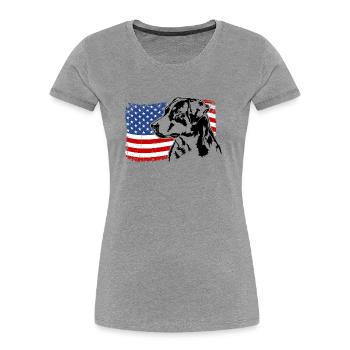 Appenzeller Sennenhund US Amerika Fahne Wilsigns - Frauen Premium Bio T-Shirt - Grau meliert - Vorne - Mia (176cm)