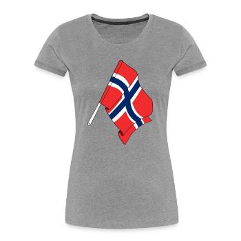 Flag Norway - Women's Premium Organic T-Shirt - heather grey - Front - Mia (176cm)