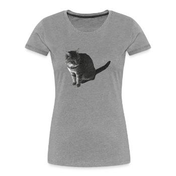 Katze sitzend, schwarz-weiß, tabby Motive - Frauen Premium Bio T-Shirt - Grau meliert - Vorne - Mia (176cm)