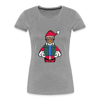 Ein Geschenk vom Weihnachtsmann - Frauen Premium Bio T-Shirt - Grau meliert - Vorne - Mia (176cm)