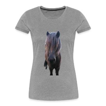 Pferde T-shirt Geschenk Reiter  - Frauen Premium Bio T-Shirt - Grau meliert - Vorne - Mia (176cm)