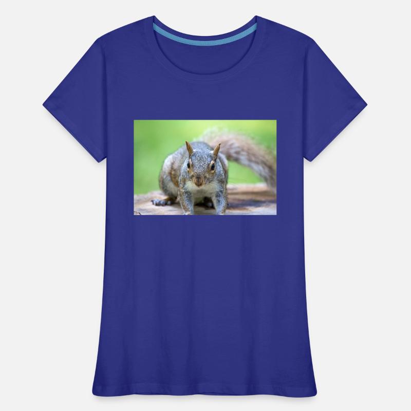 Grey squirrel Grauhörnchen Sciurus carolinensis Women's Premium Organic T-Shirt