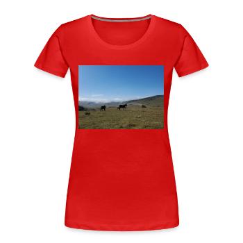 Esel, Berge, Wiesen - Frauen Premium Bio T-Shirt - Rot - Vorne - Mia (176cm)