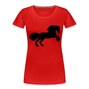 Friese - Frauen Premium Bio T-Shirt - Rot - Vorne - Mia (176cm)