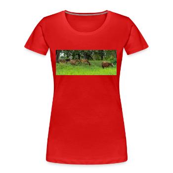 Pferde auf der Wiese - Frauen Premium Bio T-Shirt - Rot - Vorne - Mia (176cm)