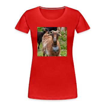 Chèvre de montagne dans le parc national Parc de l’île de Kos - T-shirt bio Premium Femme - rouge - Devant - Mia (176cm)