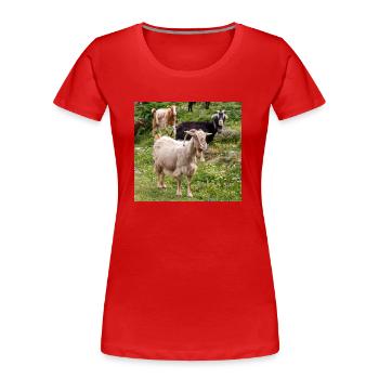 Chèvre de montagne dans le parc national Parc de l’île de Kos - T-shirt bio Premium Femme - rouge - Devant - Mia (176cm)