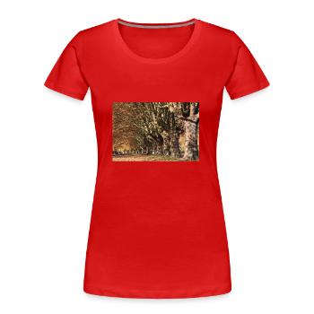 Sonnenbeschienene Platanen Allee - Frauen Premium Bio T-Shirt - Rot - Vorne - Mia (176cm)