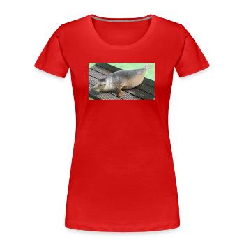 Seal pup on Texel - Women's Premium Organic T-Shirt - red - Front - Mia (176cm)