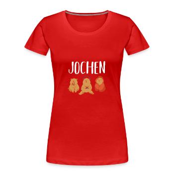 Gamer Zocker Zocken Gaming Jochen - T-shirt bio Premium Femme - rouge - Devant - Mia (176cm)