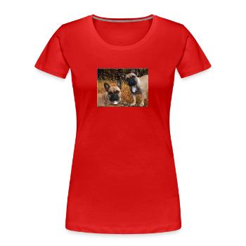 französische Bulldoggen auf der Wiese - Frauen Premium Bio T-Shirt - Rot - Vorne - Mia (176cm)