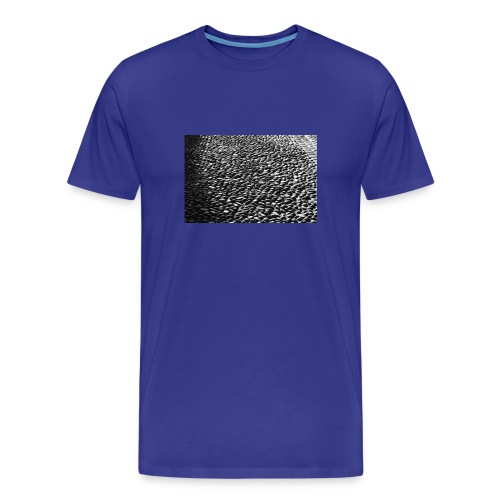 cobblestone shirt - Mannen premium biologisch T-shirt