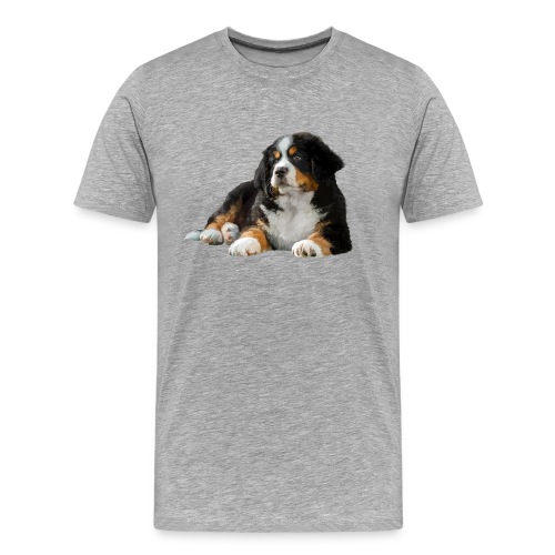 Berner Sennenhund - Männer Premium Bio T-Shirt