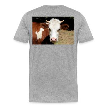 Kuh Poster - Männer Premium Bio T-Shirt - Grau meliert - Hinten - Damien (186cm)