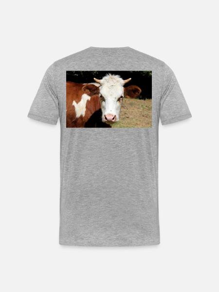 Kuh Poster - Männer Premium Bio T-Shirt - Grau meliert