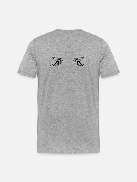 Design 14 (Flügelset, weit) - Männer Premium Bio T-Shirt - Grau meliert