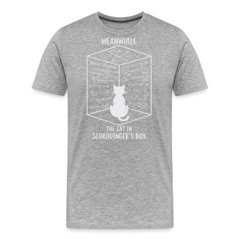 Die Katze in Schrödingers Box – Quantenspaß - Männer Premium Bio T-Shirt - Grau meliert - Vorne - Damien (186cm)