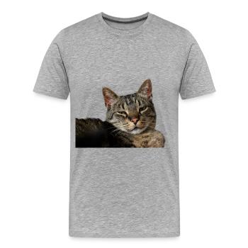 Chaton Chaton - T-shirt bio Premium Homme - gris chiné - Devant - Damien (186cm)