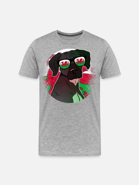 Wales - Männer Premium Bio T-Shirt - Grau meliert