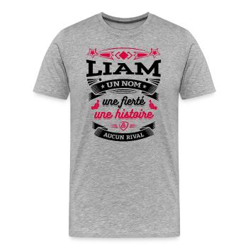 LIAM UN NOM UNE FIERTÉ AUCUN RIVAL - T-shirt bio Premium Homme - gris chiné - Devant - Damien (186cm)