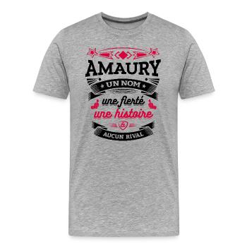 AMAURY UN NOM UNE FIERTÉ AUCUN RIVAL - T-shirt bio Premium Homme - gris chiné - Devant - Damien (186cm)
