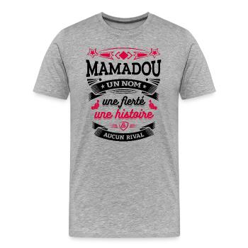 MAMADOU UN NOM UNE FIERTÉ AUCUN RIVAL - T-shirt bio Premium Homme - gris chiné - Devant - Damien (186cm)