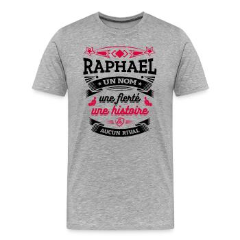 RAPHAEL UN NOM UNE FIERTÉ AUCUN RIVAL - T-shirt bio Premium Homme - gris chiné - Devant - Damien (186cm)