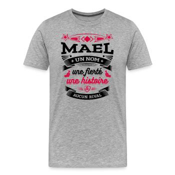 MAEL UN NOM UNE FIERTÉ AUCUN RIVAL - T-shirt bio Premium Homme - gris chiné - Devant - Damien (186cm)