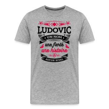 LUDOVIC UN NOM UNE FIERTÉ AUCUN RIVAL - T-shirt bio Premium Homme - gris chiné - Devant - Damien (186cm)