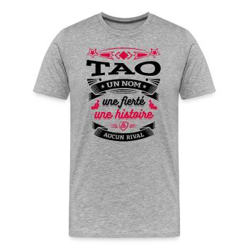 TAO UN NOM UNE FIERTÉ AUCUN RIVAL - T-shirt bio Premium Homme - gris chiné - Devant - Damien (186cm)