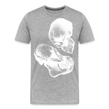 Echo of Evolution | Pulau Kreasi - Männer Premium Bio T-Shirt - Grau meliert - Vorne - Damien (186cm)