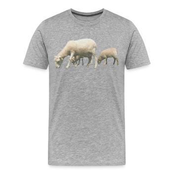 sheep - Men's Premium Organic T-Shirt - heather grey - Front - Damien (186cm)