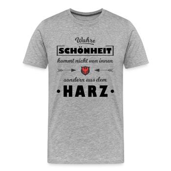 Harz - Männer Premium Bio T-Shirt - Grau meliert - Vorne - Damien (186cm)