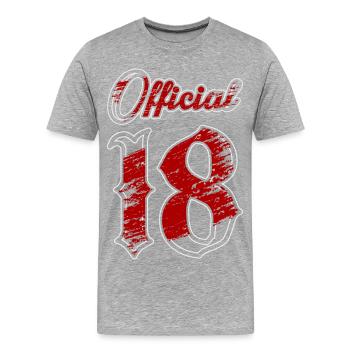 Officiellement 18 ans - T-shirt bio Premium Homme - gris chiné - Devant - Damien (186cm)