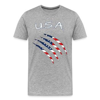 USA United States of America - Männer Premium Bio T-Shirt - Grau meliert - Vorne - Damien (186cm)