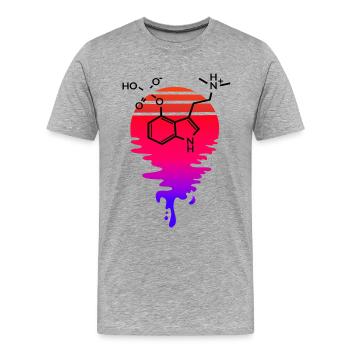 Psilocybin Molekül mit Retro Sunset - Männer Premium Bio T-Shirt - Grau meliert - Vorne - Damien (186cm)