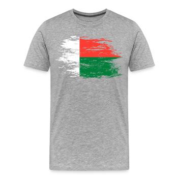 Drapeau de Madagascar utilisé - T-shirt bio Premium Homme - gris chiné - Devant - Damien (186cm)