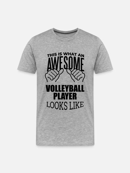 Volleyball Volleyball Volleyball - Men's Premium Organic T-Shirt - heather grey