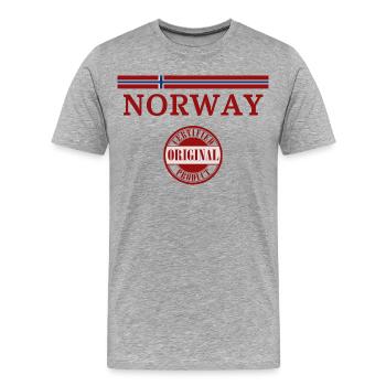 Norwegian flag, Norwegian pride - Men's Premium Organic T-Shirt - heather grey - Front - Damien (186cm)
