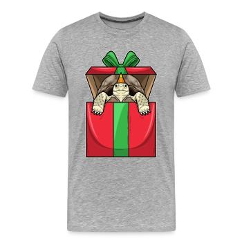 Turtle Birthday Package - Men's Premium Organic T-Shirt - heather grey - Front - Damien (186cm)