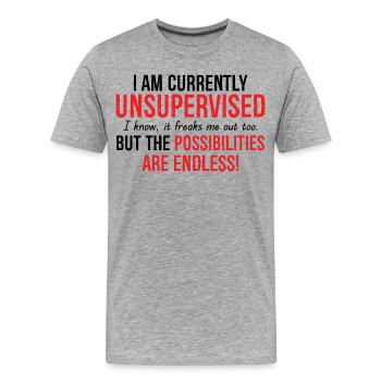 Je suis actuellement sans surveillance Possibilités infinies - T-shirt bio Premium Homme - gris chiné - Devant - Damien (186cm)