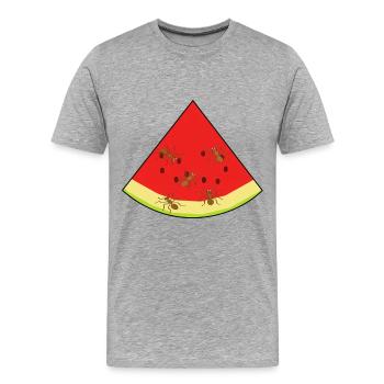 Melone Sommerzeit Ameisen Ameise Insekt - Männer Premium Bio T-Shirt - Grau meliert - Vorne - Damien (186cm)