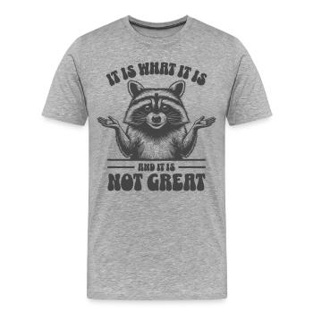 Waschbär - It is what it is and it is not great - Männer Premium Bio T-Shirt - Grau meliert - Vorne - Damien (186cm)