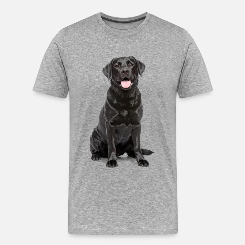 Schwarzer Labrador – Loyal, liebenswert & Charmant - Männer Premium Bio T-Shirt - Grau meliert